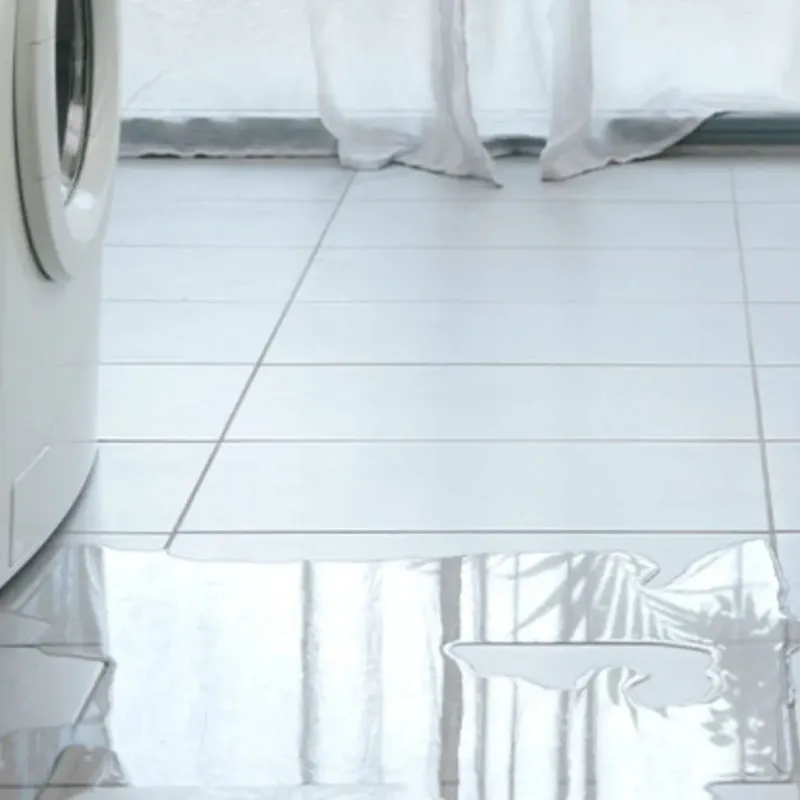 Appliance Leak Cleanup in Lely Resort, FL