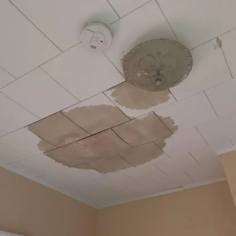 Ceiling Water Damage Repair in Lely Resort, FL
