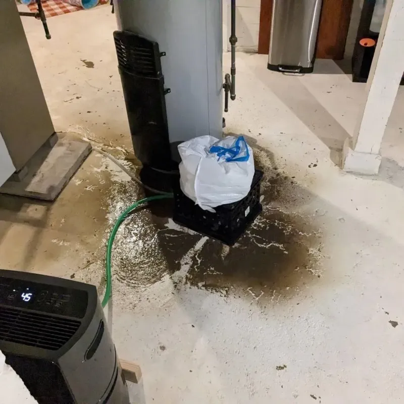 Sewage Backup Cleanup Service in Lely Resort, FL
